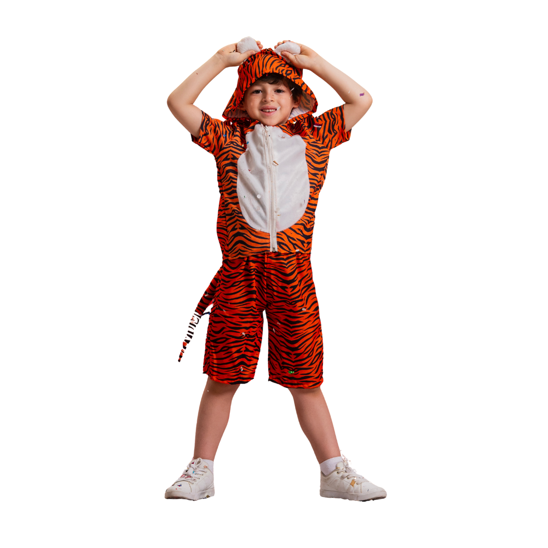 Fantasia Infantil Tigre Clássica