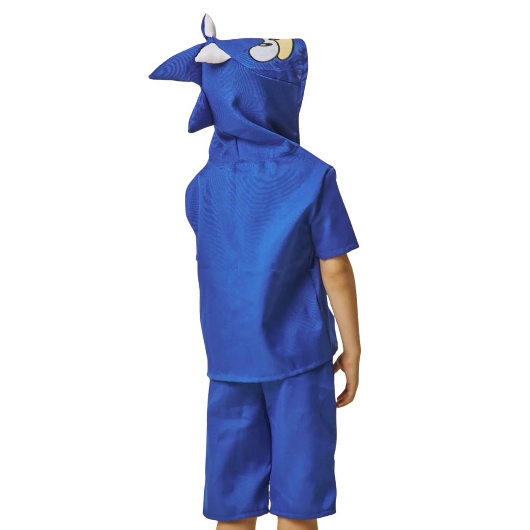 Fantasia Infantil Sonic Clássico