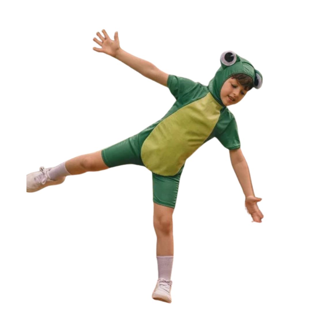 Fantasia Infantil Sapo
