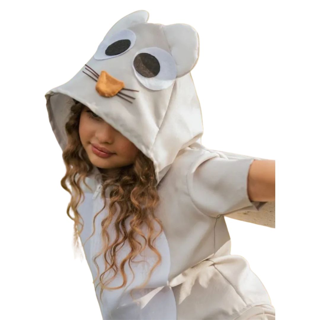 Fantasia Infantil Ratinho