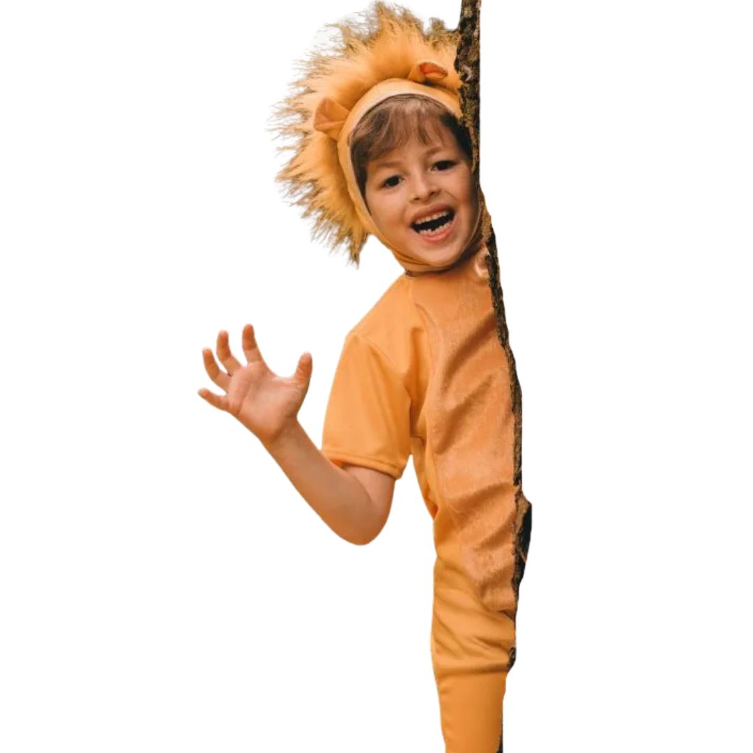 Fantasia Infantil Leão