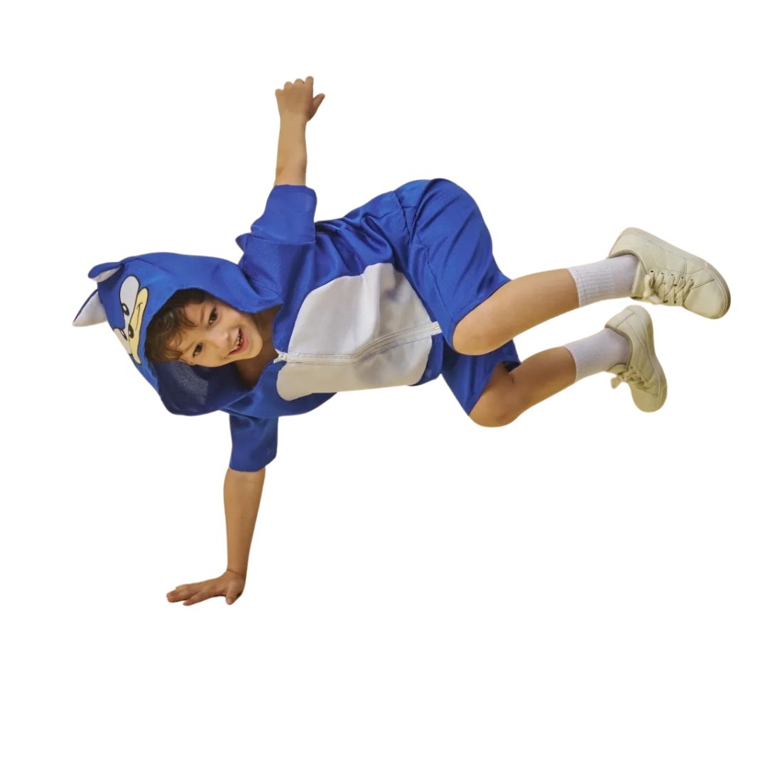 Fantasia Infantil Sonic Clássico